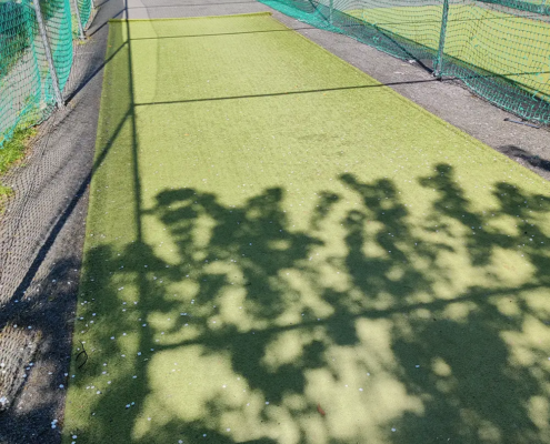Brockwell Park Main cricket wicket
