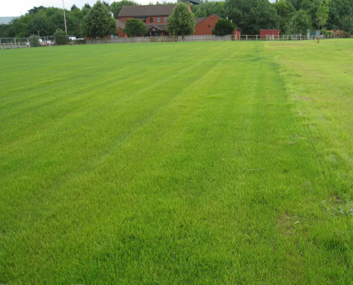 Nautral Turf Barrat Homes Bristol